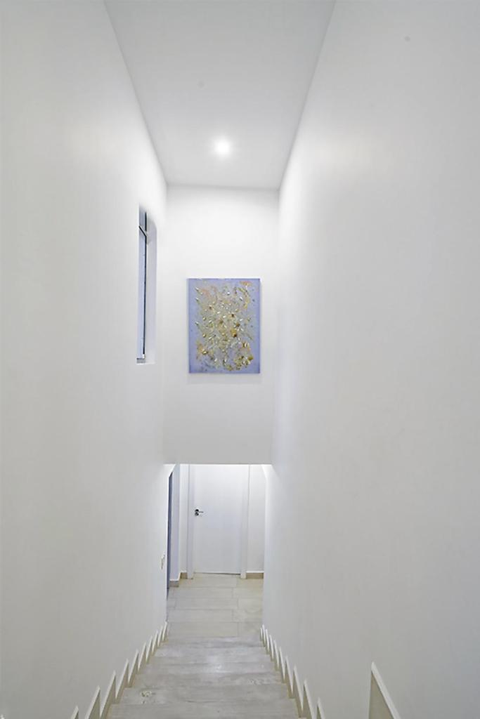 LilyPad photo 2