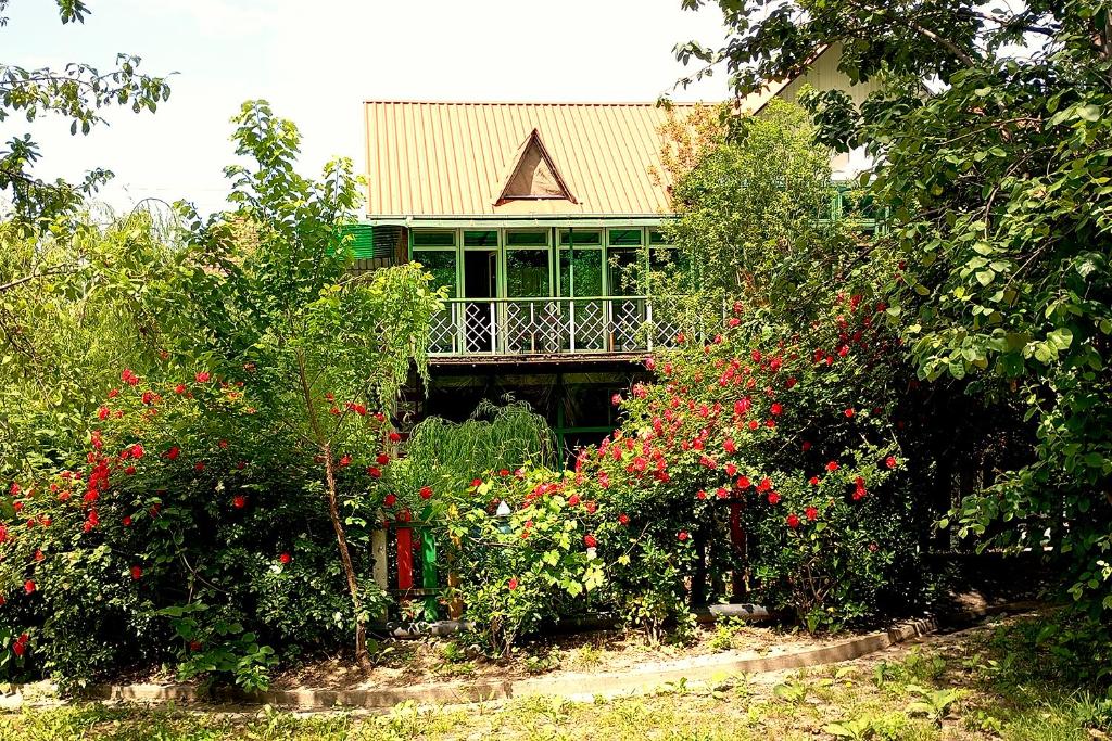 Grandsons Hostel