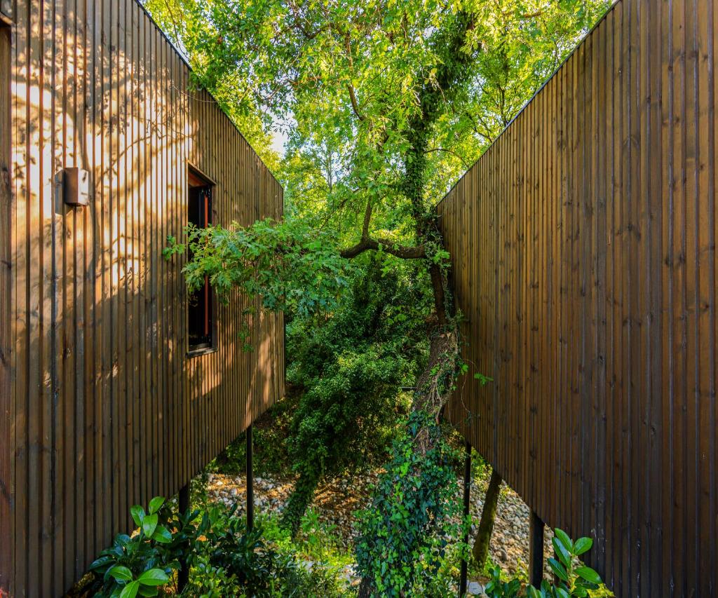 Bregu Village Spa photo 4
