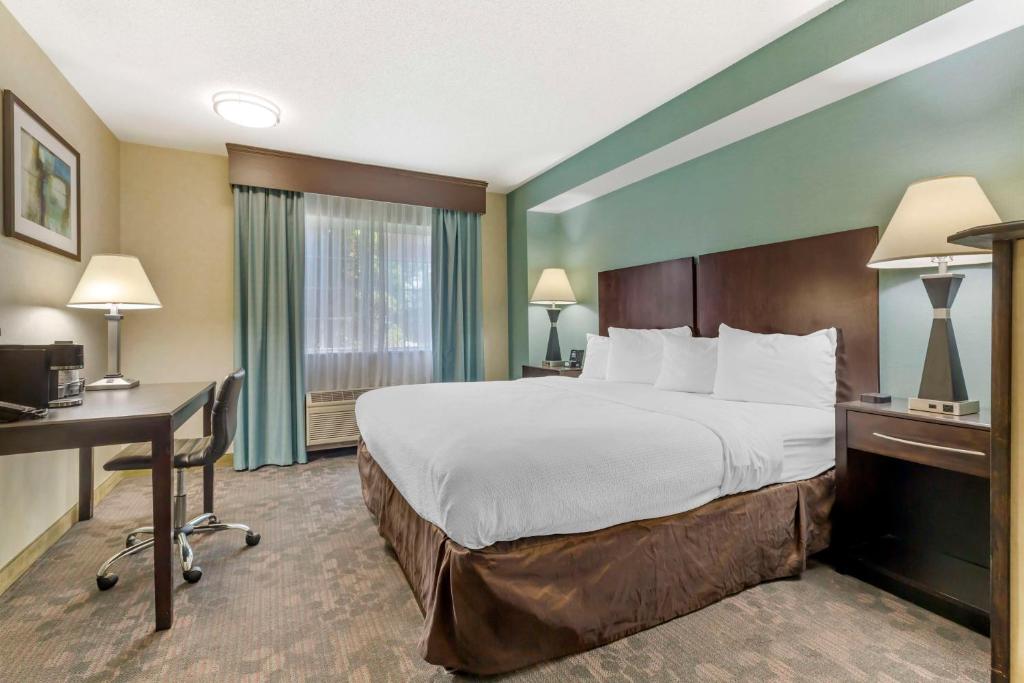 Best Western Plus Berkshire Hills Inn & Suites - Tap to explore photos