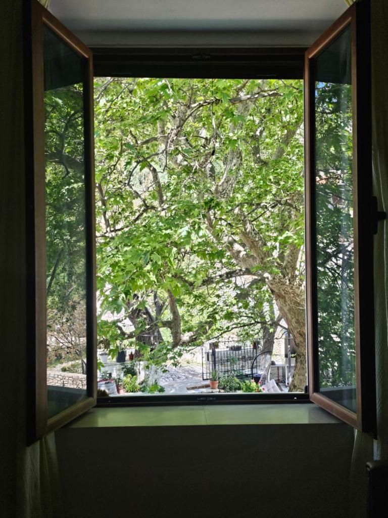 Te Rrapi Rooms photo 1