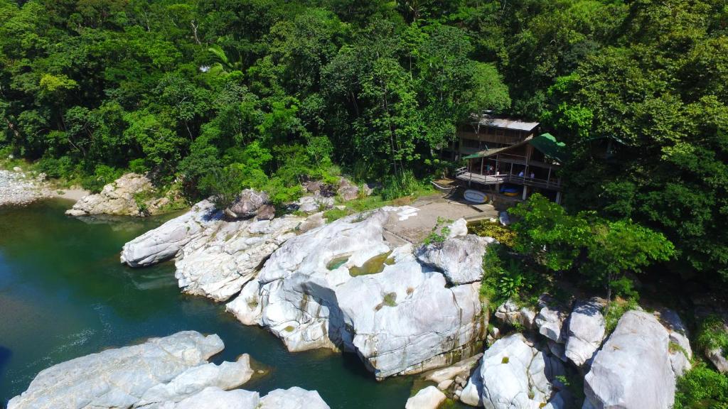 Jungle River Lodge photo 1