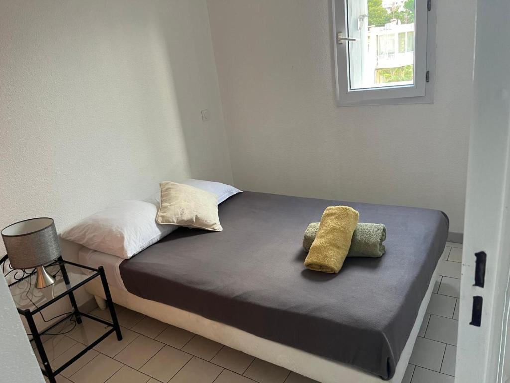 Bel appartement proche des plages, Agde
