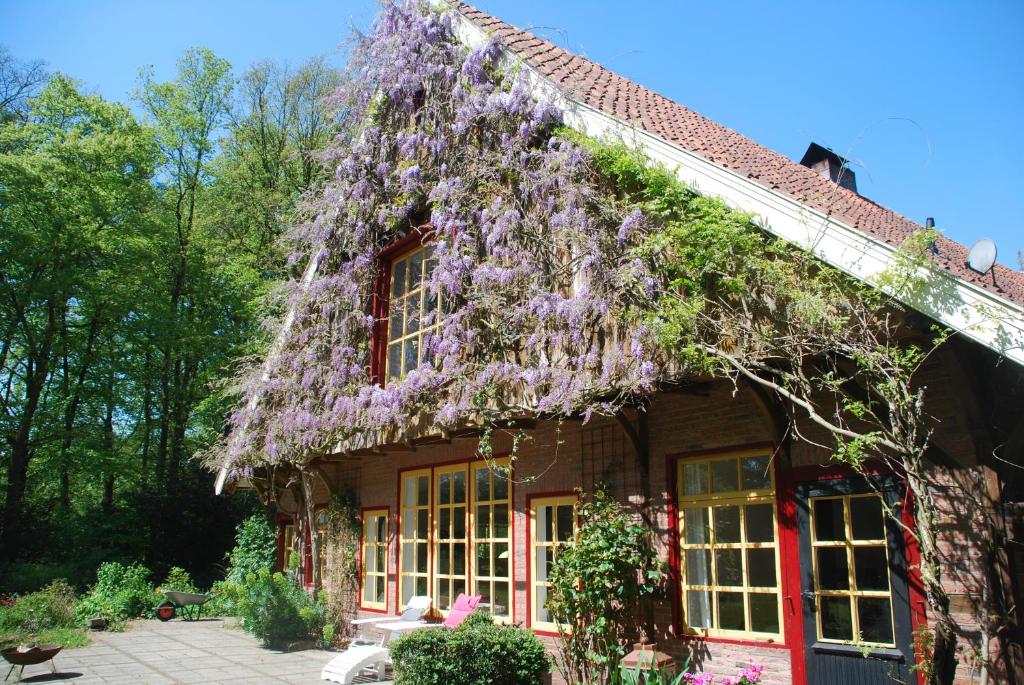 B&B De Hagmolenbeek Boekelo photo 1