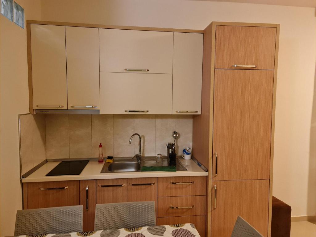 Spacious apartment for five guests photo 2