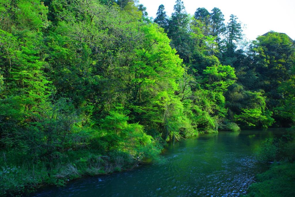 Yamanaka Onsen Ohanami Kyubei - Tap to explore photos