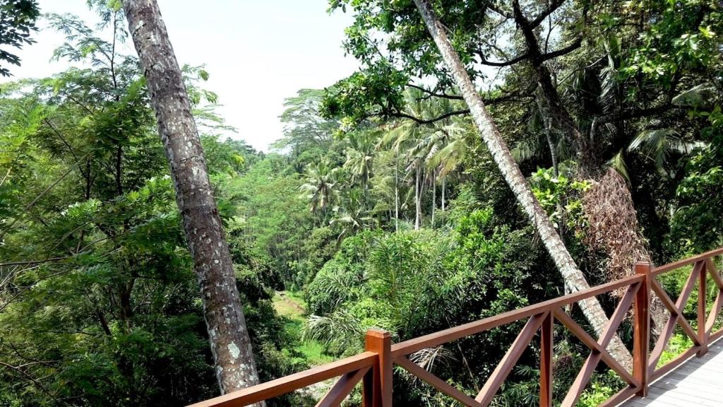 Kaloi Villa photo 3