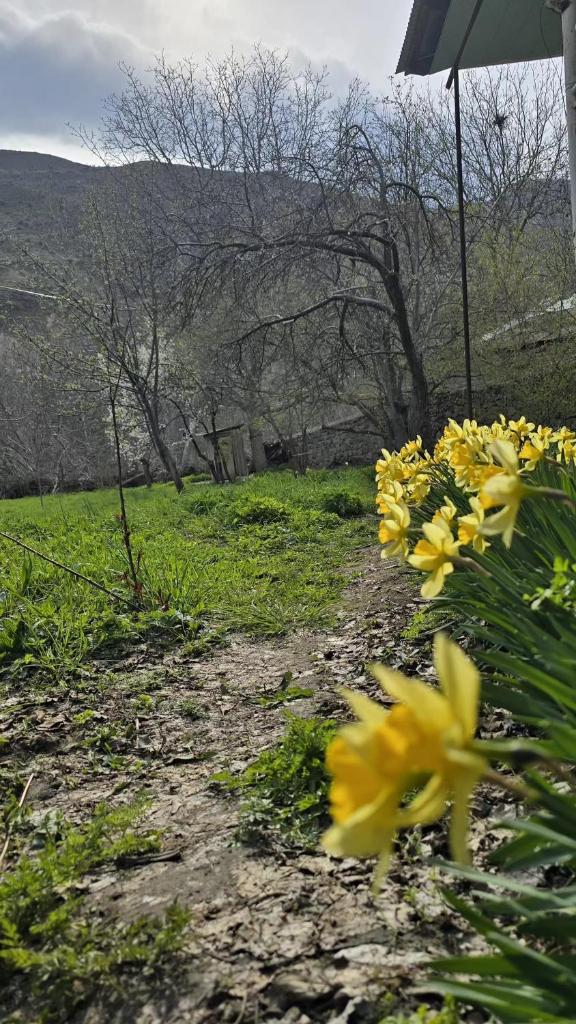 Dağ Havası - Kükü kəndi photo 3