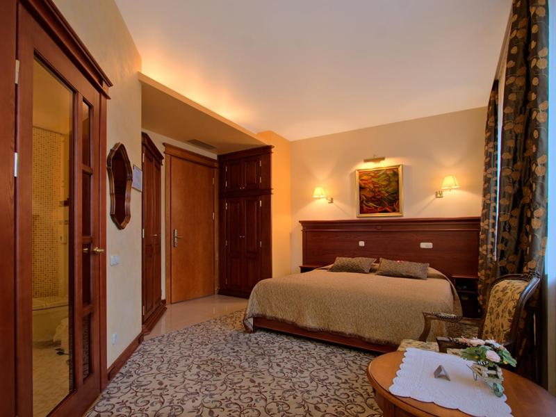 Двухместный (Стандартный двухместный номер с 1 кроватью), Pažaislis Park Hotel