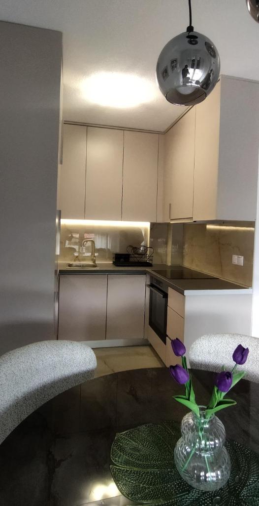 Apartman Bonaca photo 3