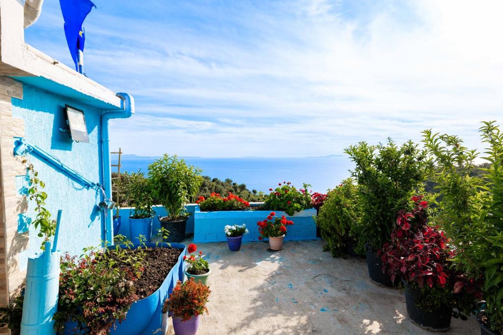 Selami Sea View Apartments photo 4