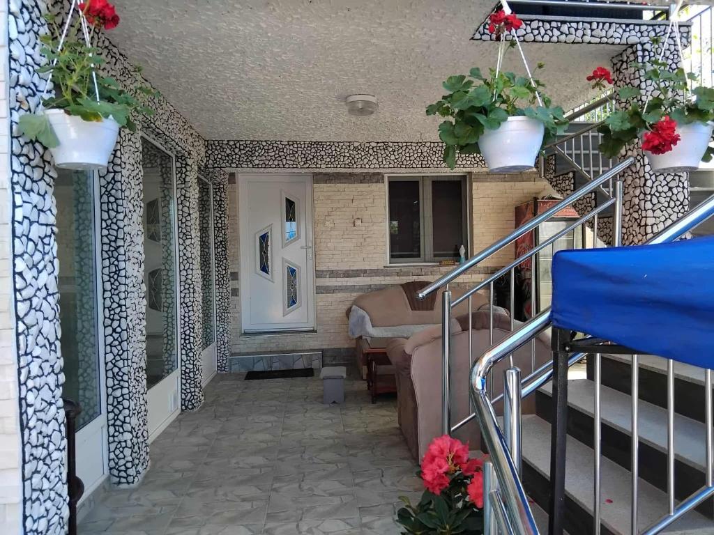 Apartman Kenan photo 1