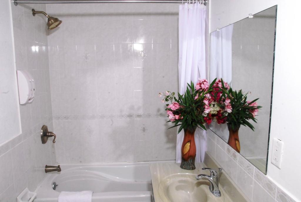 Guest House Villa Mishkan photo 4