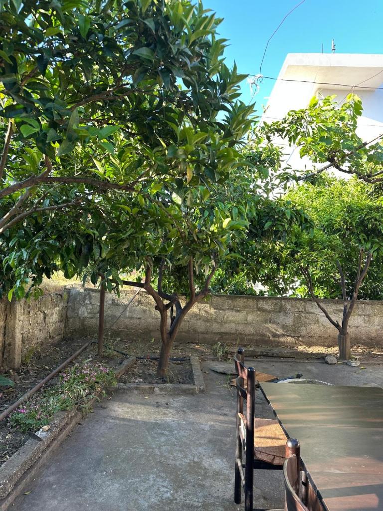 Village bungalow near beaches photo 3