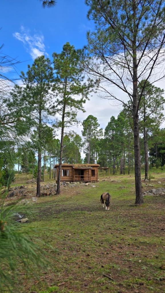 Alli Allpa Finca y Cabañas de Montaña photo 4