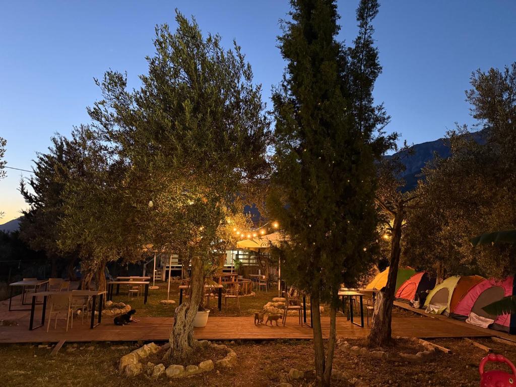 Oasis Camping