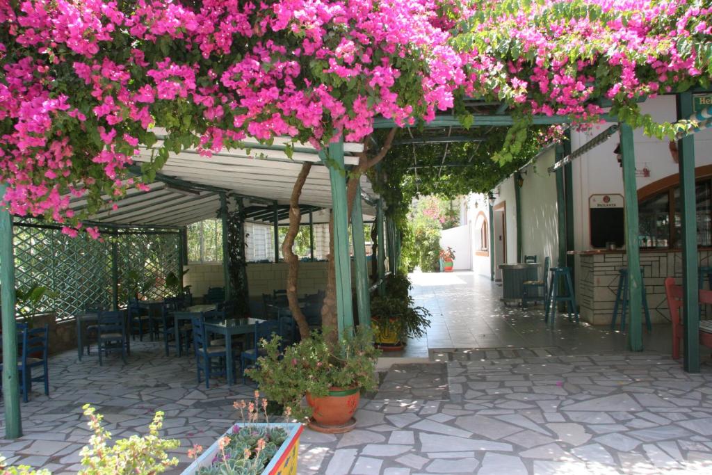 Armonia Hotel photo 3
