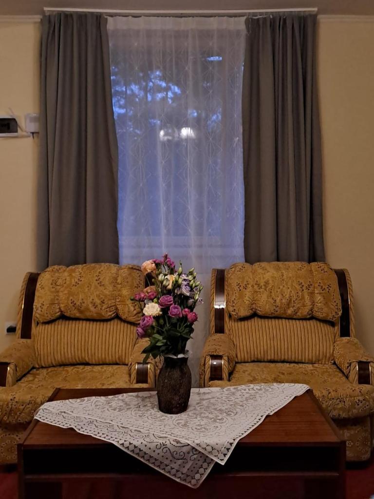 Van Bliss - Simple Comfort, Pure Relaxation photo 1