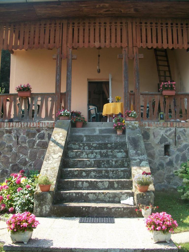 Villa Panorama Artist photo 2