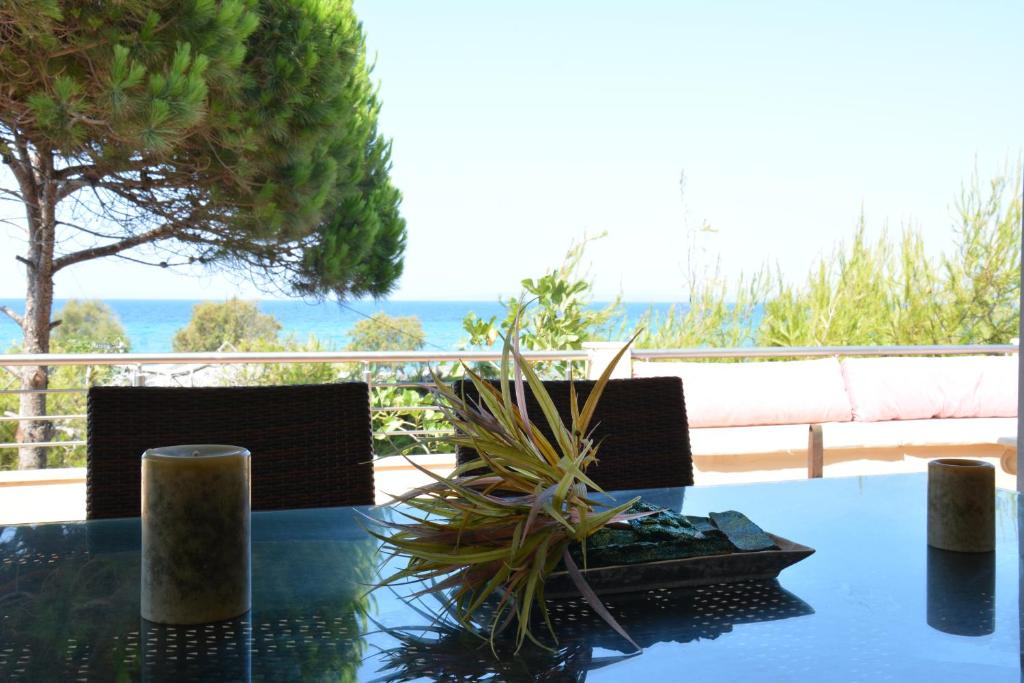 Villa Basta photo 3