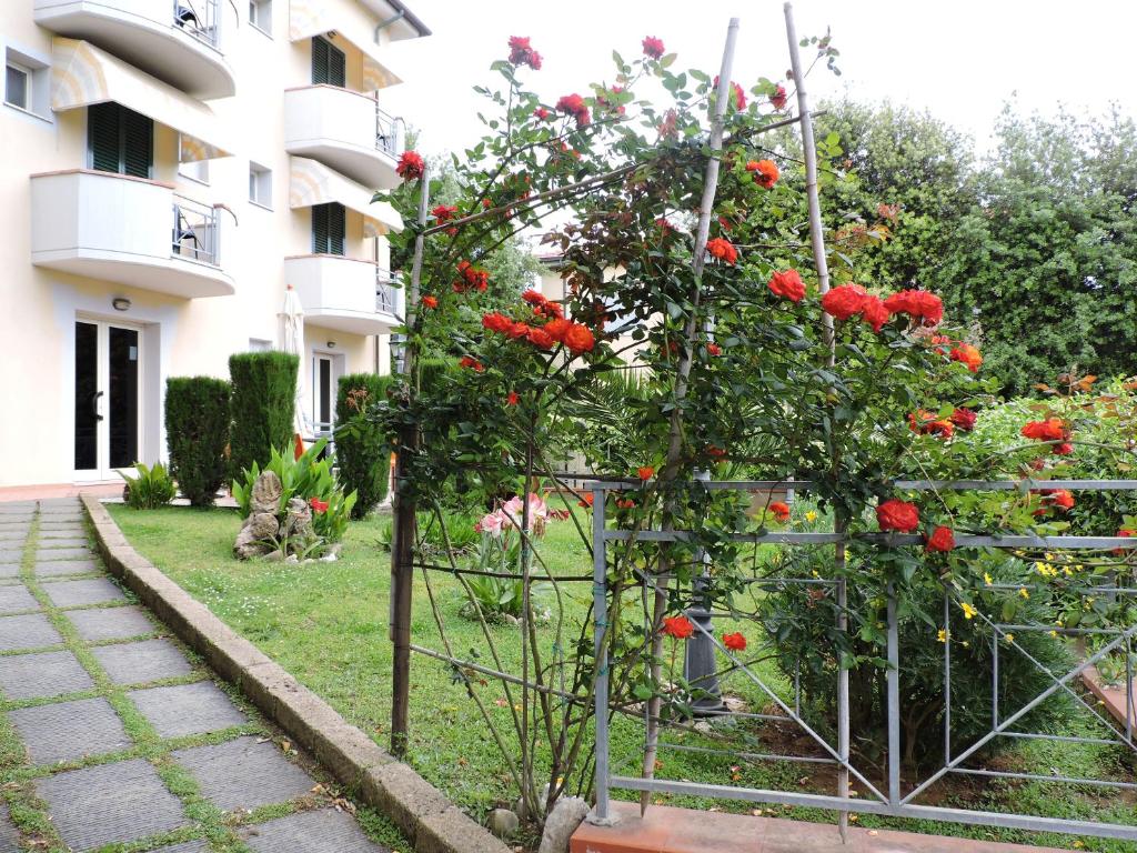 Hotel Il Pino photo 1