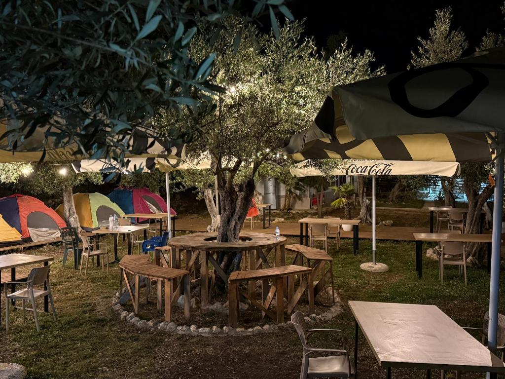Oasis Camping photo 3