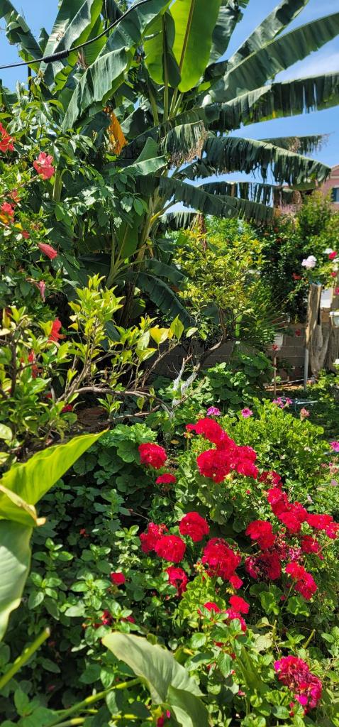 Vila Ori photo 1