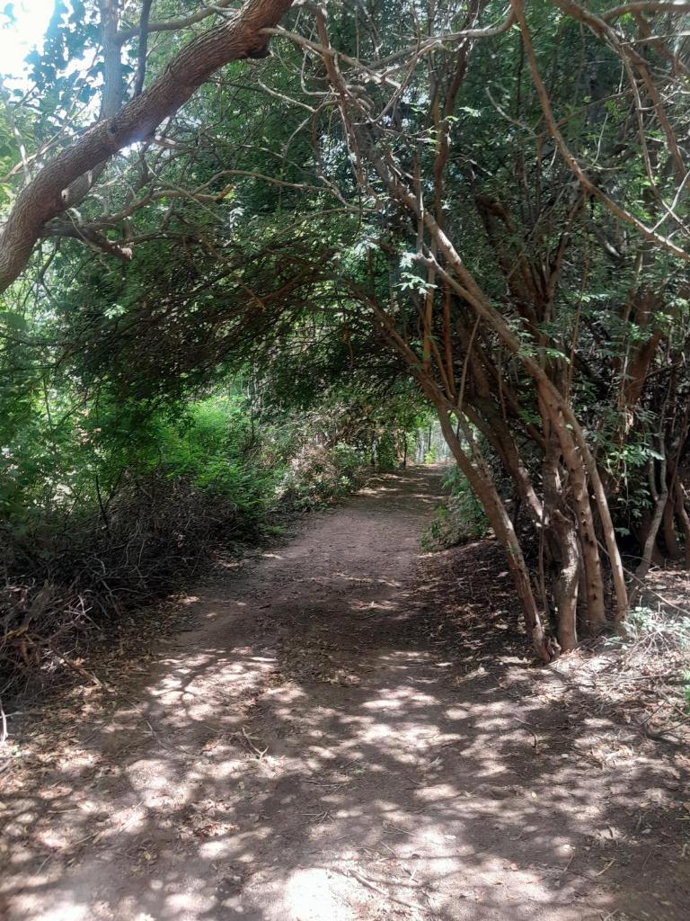 ENRAMADA Hospedaje en San Marcos Sierras photo 1