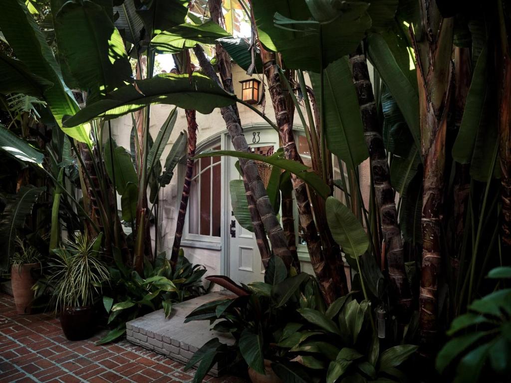Chateau Marmont - Tap to explore photos