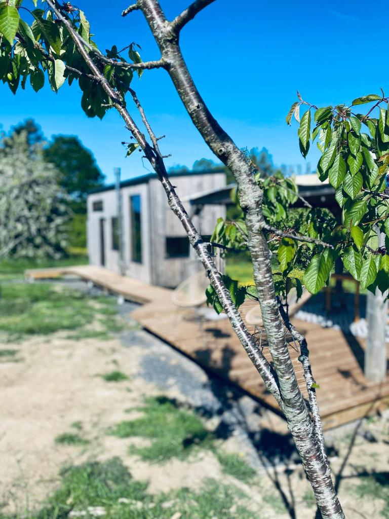 Tinyhouse au coeur d'un vignoble photo 1