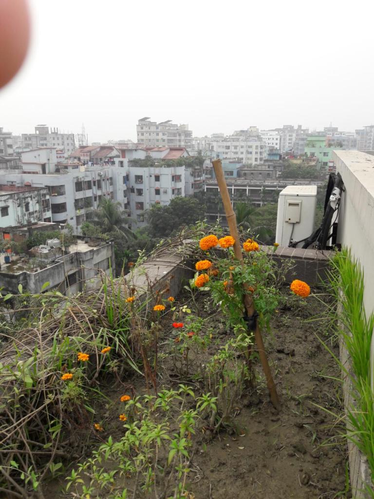 Econ Stay in New Apartment, Jigatola, Dhanmondi, Dhaka, Bangladesh photo 3