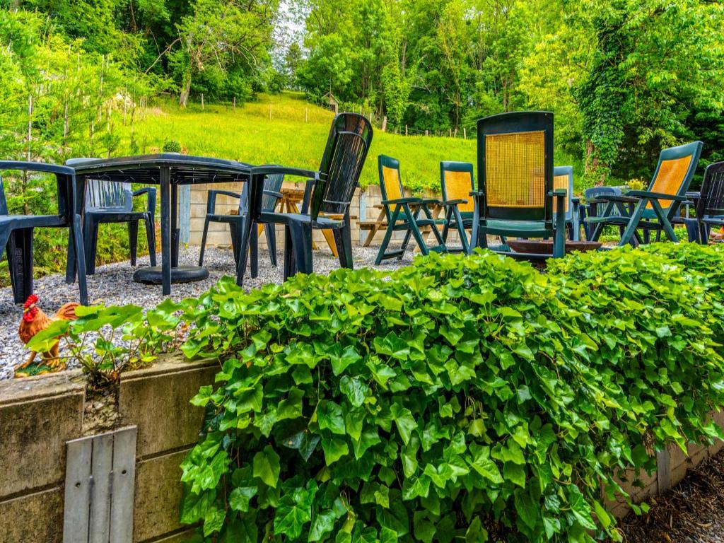 Cottage in Harze with private garden, cleaning included photo 4