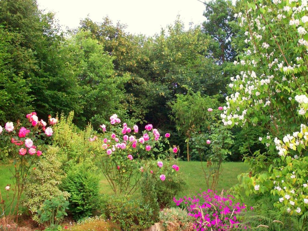 Chalet in Stavelot Neuville for 7 Person, cleaning included photo 4