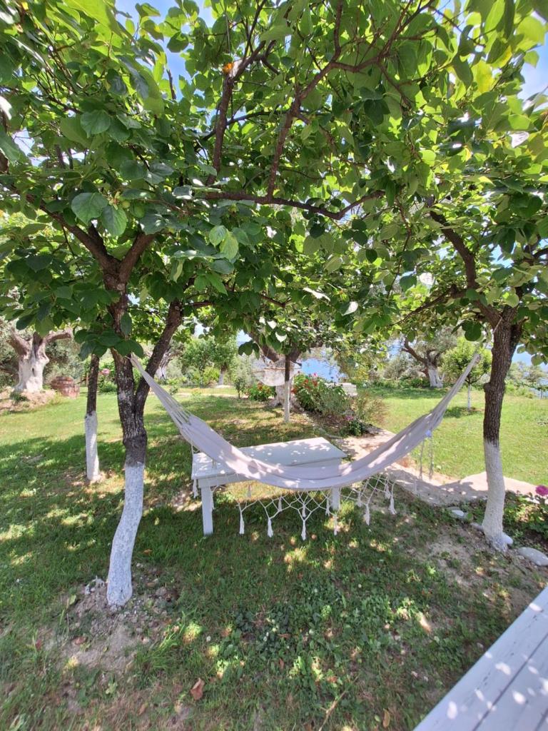 Kulkoçe photo 3