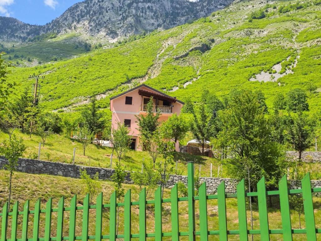 Arditi's Guesthouse photo 3