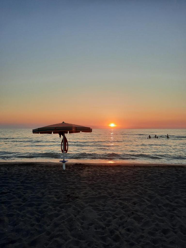 Shëngjin Beach Nest photo 3