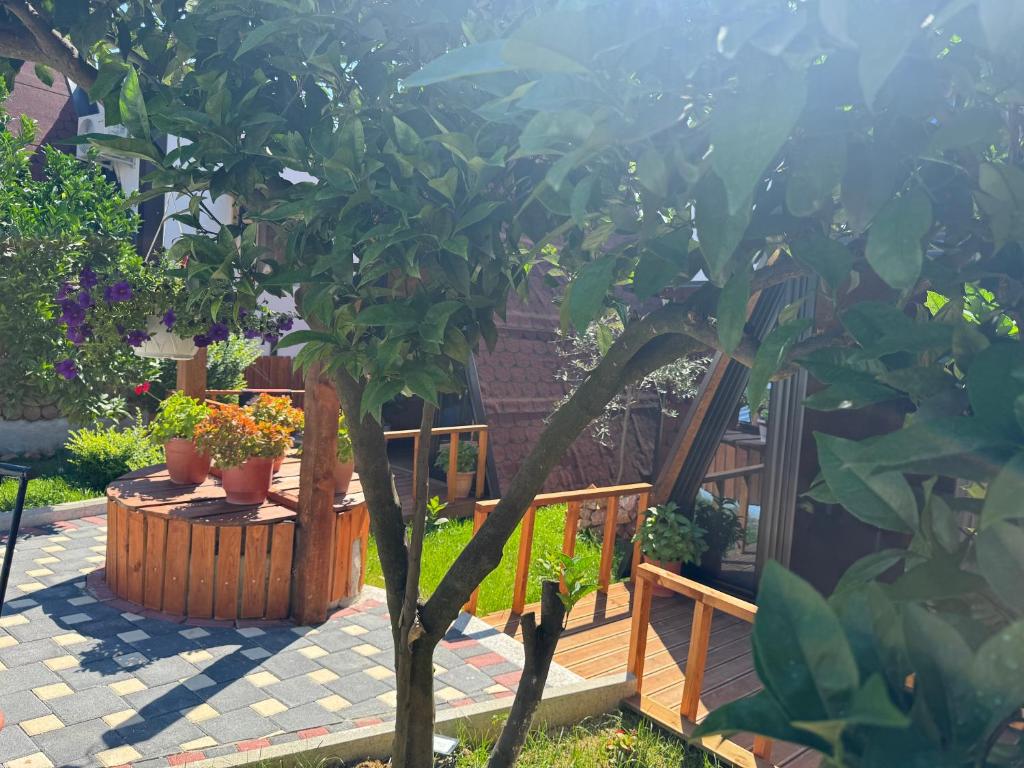 Guest House Adilaj photo 1