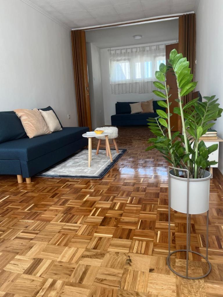 Apartman Vera photo 1