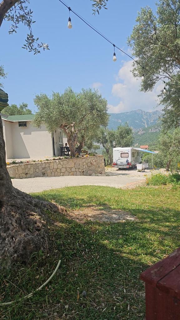 3 Bungalows at Mali Camping Kruje photo 2