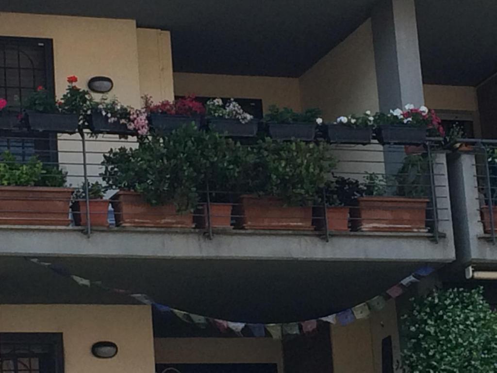 Casa Antonella photo 1