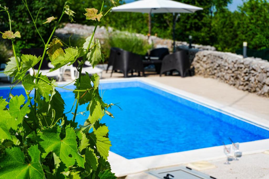 Holiday Home Little Heaven photo 1