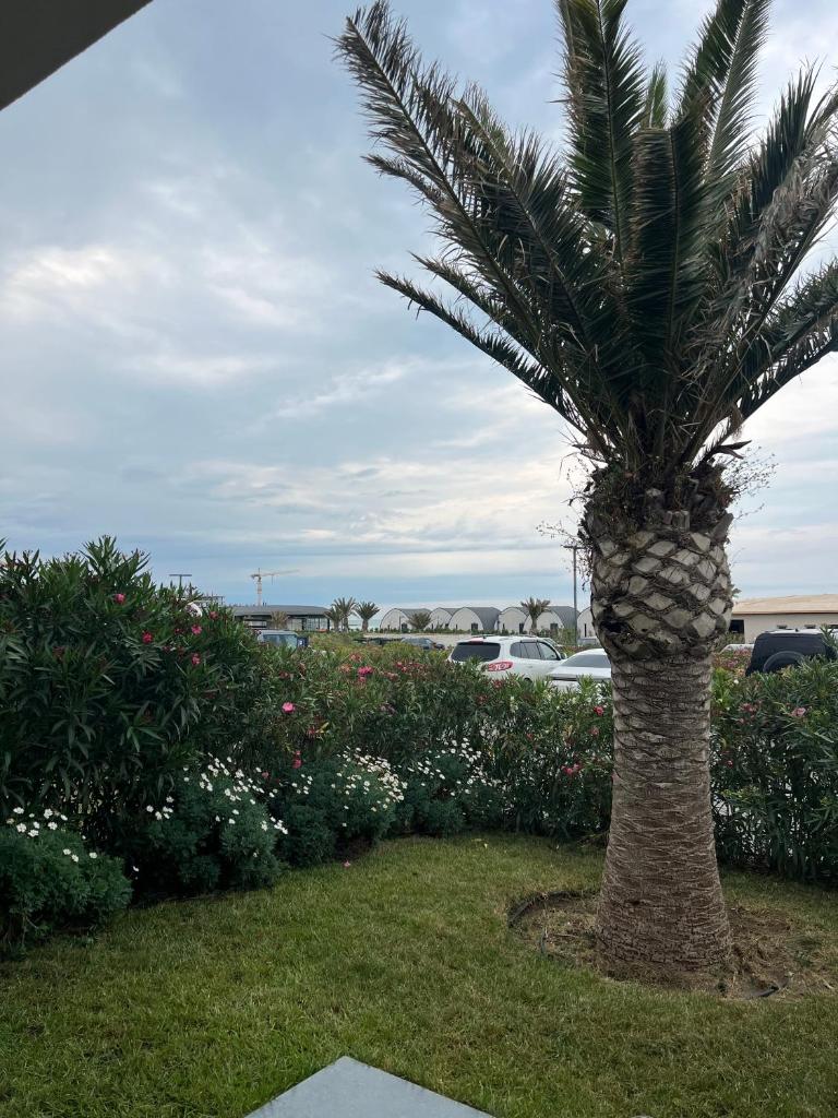 SEA BREEZEE White villa BAKU 2 photo 3