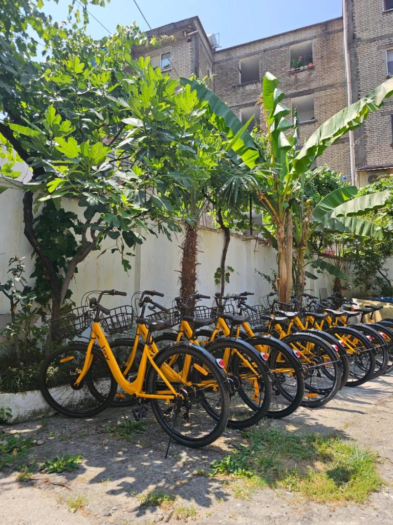 Traveler Hostel 2 photo 4