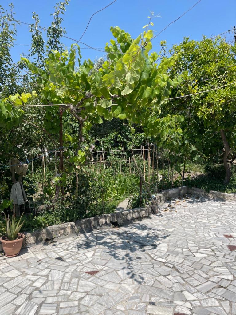 Ziu home photo 1