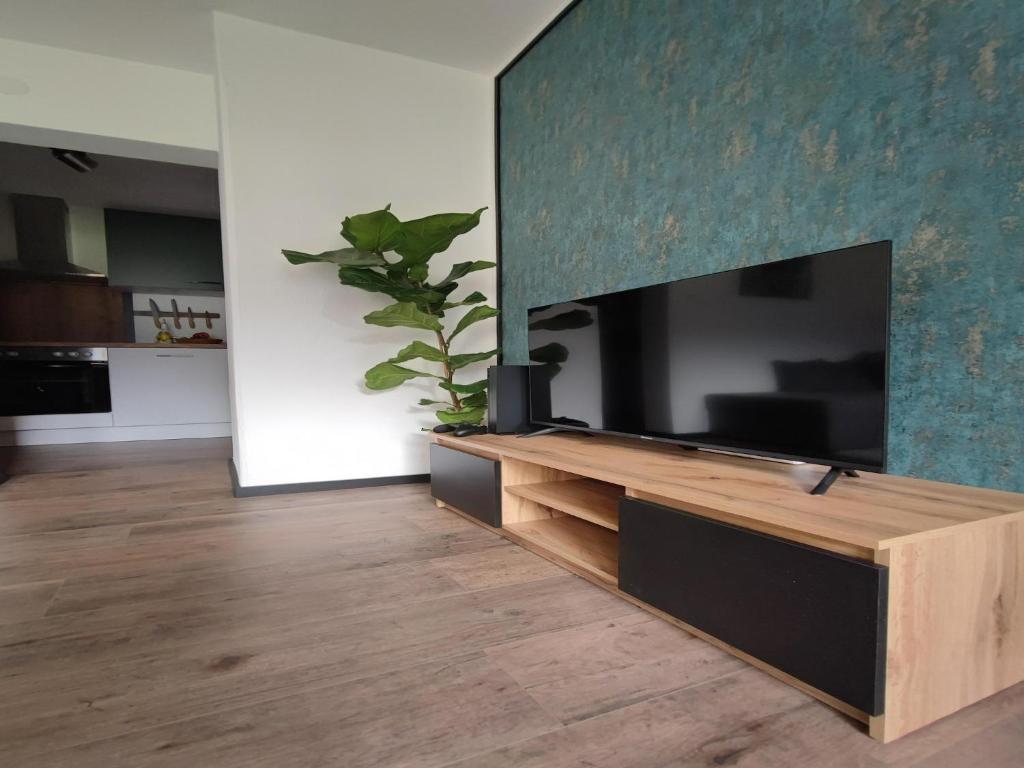 great apartment near the ski area, cleaning included photo 3