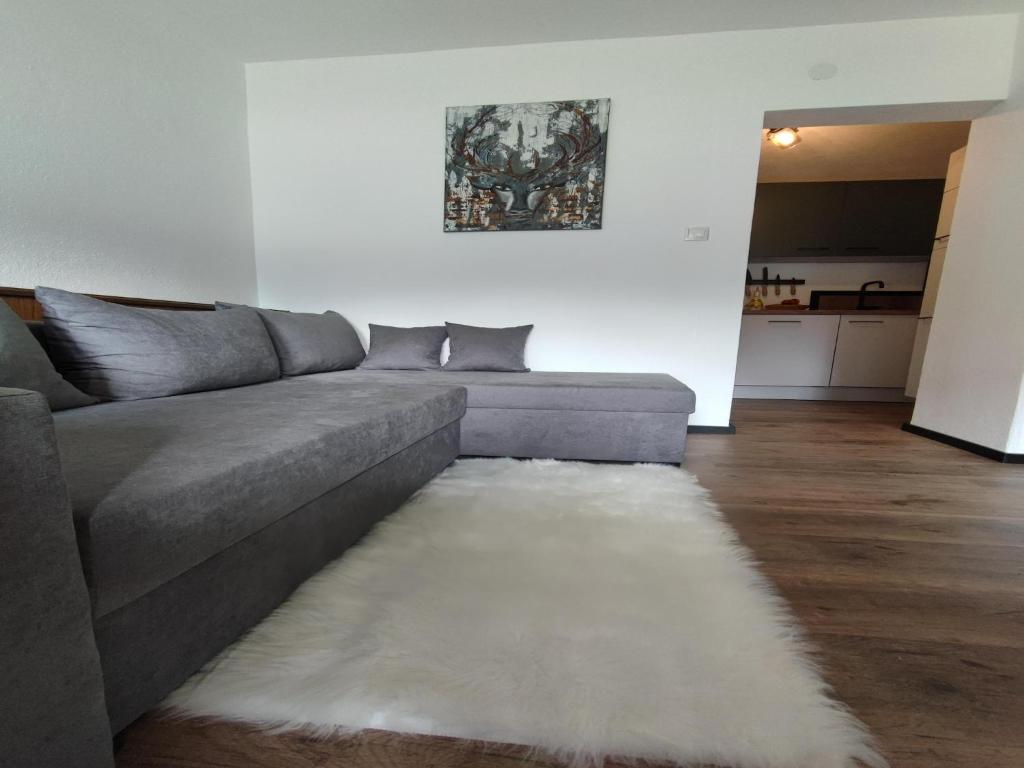 great apartment near the ski area, cleaning included photo 4