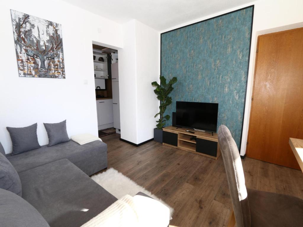 great apartment near the ski area, cleaning included photo 2