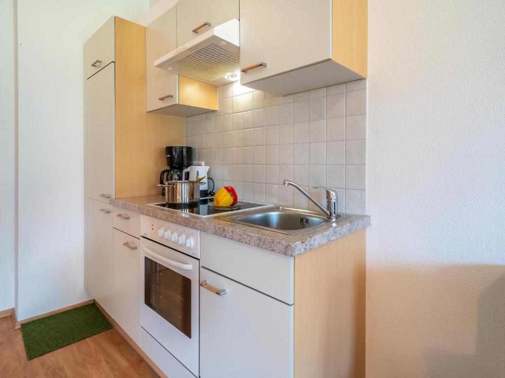 Plush Apartment with Mountain Views, cleaning included photo 3
