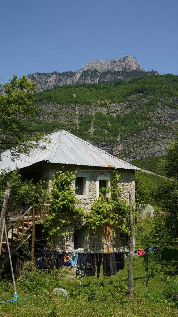Motina River Guesthouse