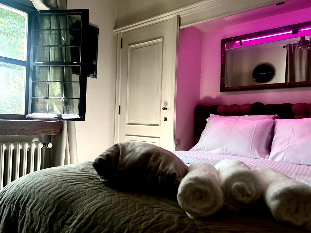 Executive en-suite bedroom with private entrance and gym access photo 3